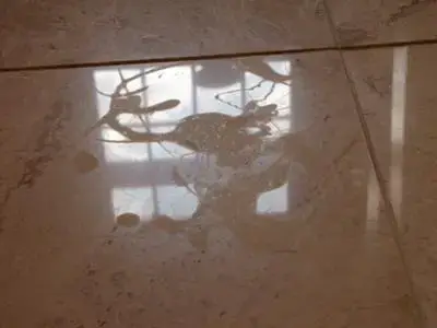 Cleaning Marble Floor Stain Dullness