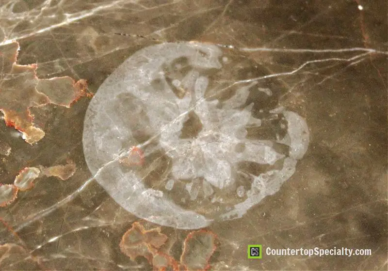 dull chalky etch mark from a lemon on brown marble countertop