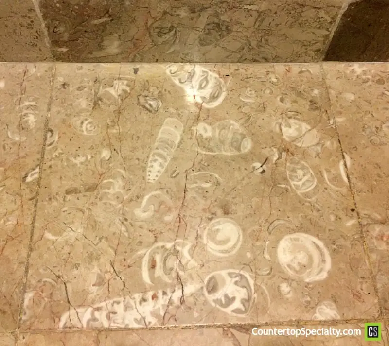 natural stone floor limestone tile with embedded sea creature fossils